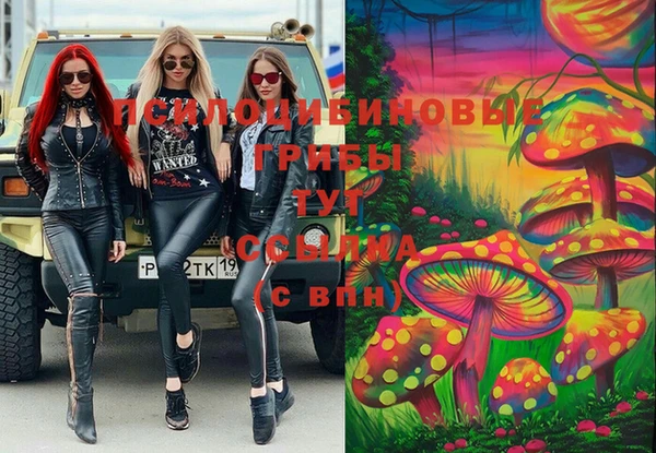 трава Инсар