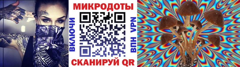 Купить закладки  Благодарный  Псилоцибиновые грибы Psilocybine cubensis 